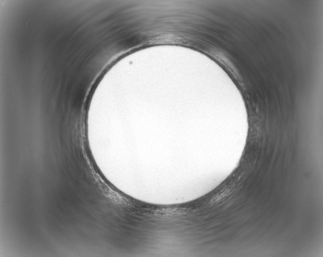 X0000055981000200509162220