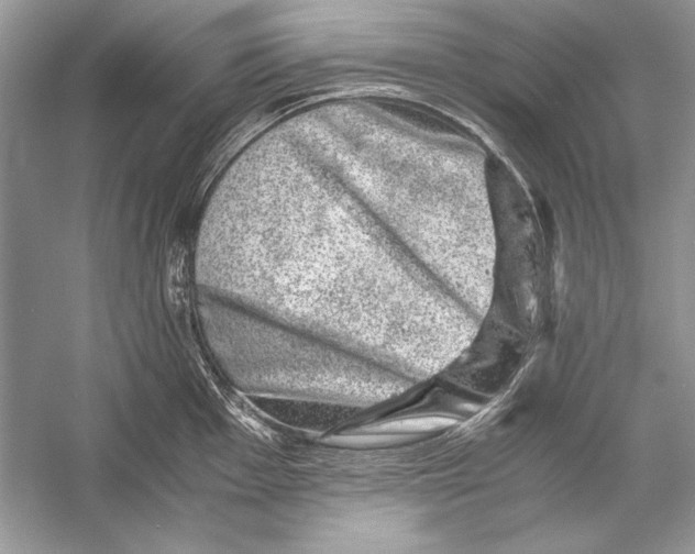 X0000055981001200509162220