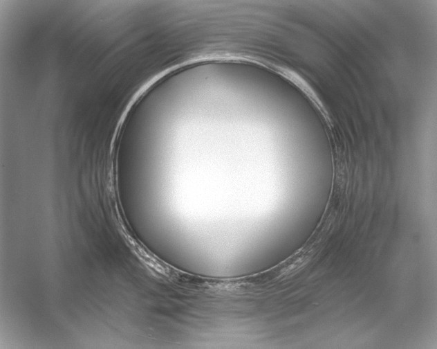 X0000055981004200509162220