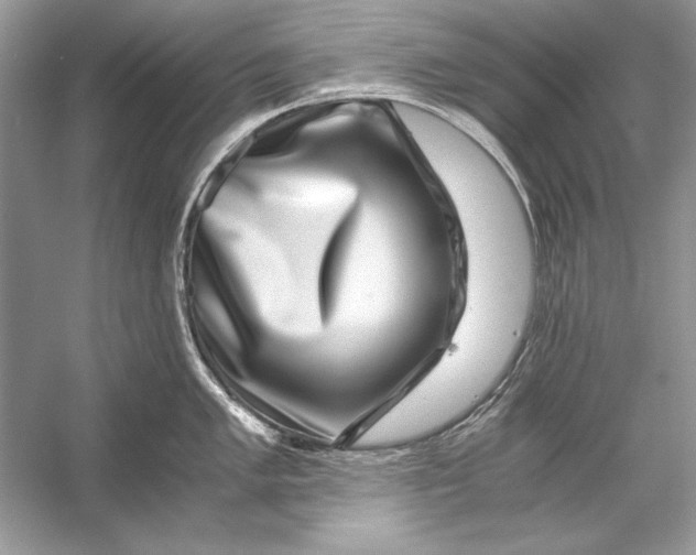 X0000055981005200509162220