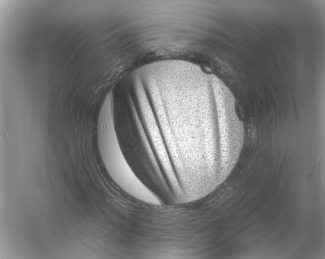 X0000055981012200509162219