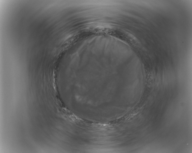 X0000055981013200509162219