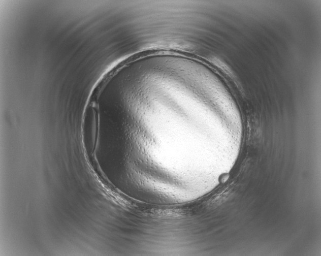 X0000055981020200509162220