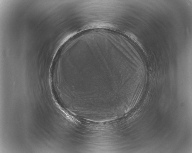 X0000055981024200509162220