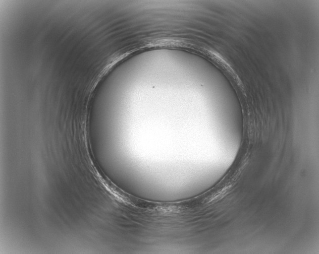 X0000055981041200509162220