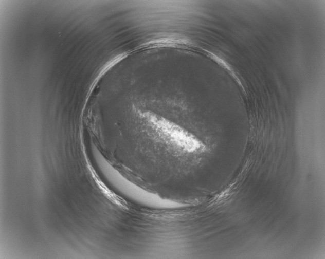 X0000055981042200509162220