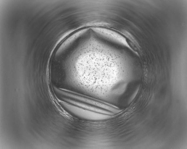 X0000055981044200509162220