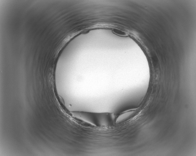 X0000055981049200509162220