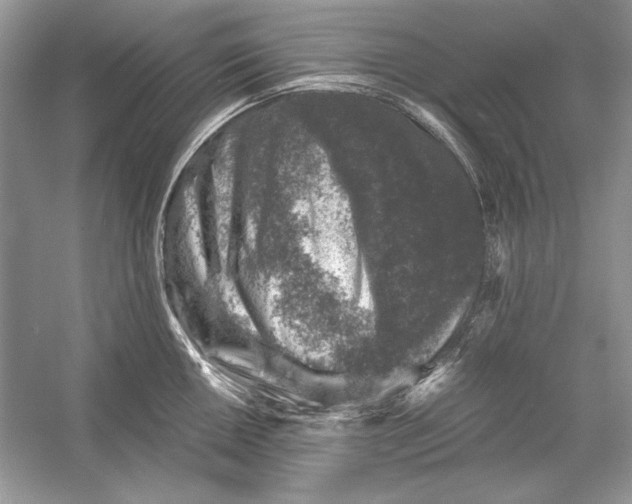 X0000055981050200509162220
