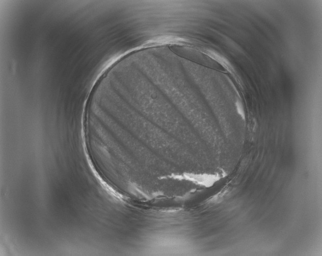 X0000055981055200509162220