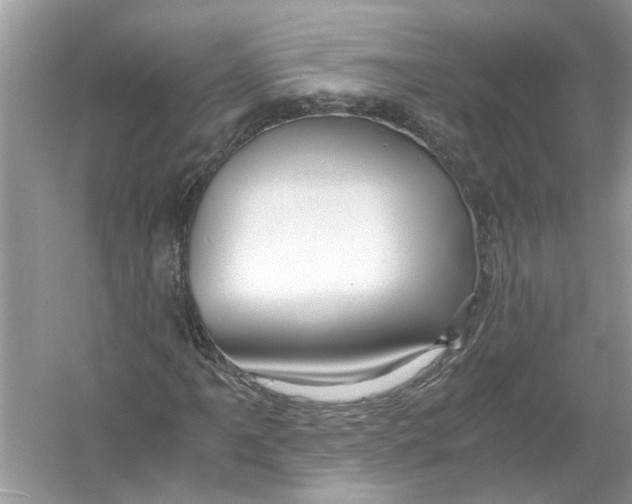 X0000055981061200509162219