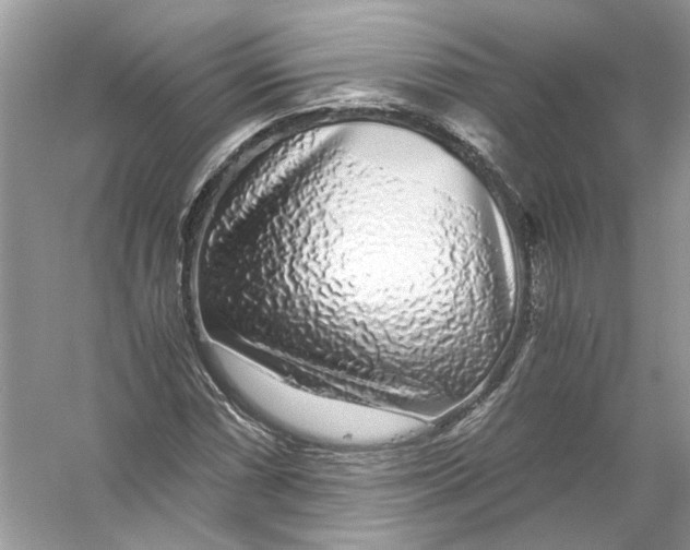 X0000055981066200509162219