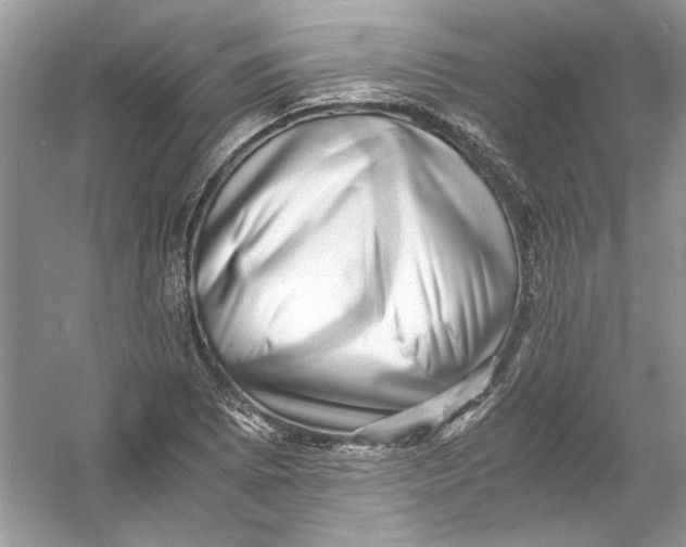 X0000055981073200509162219