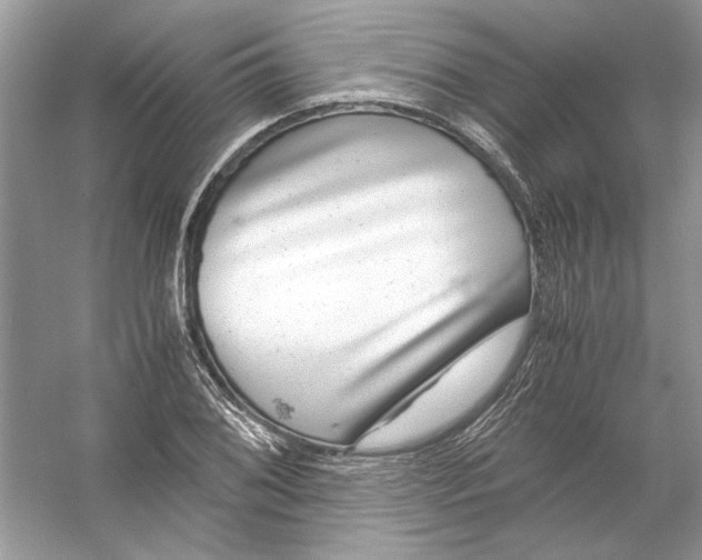 X0000055981076200509162219