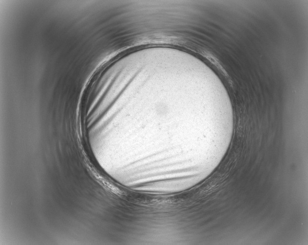 X0000055981080200509162219