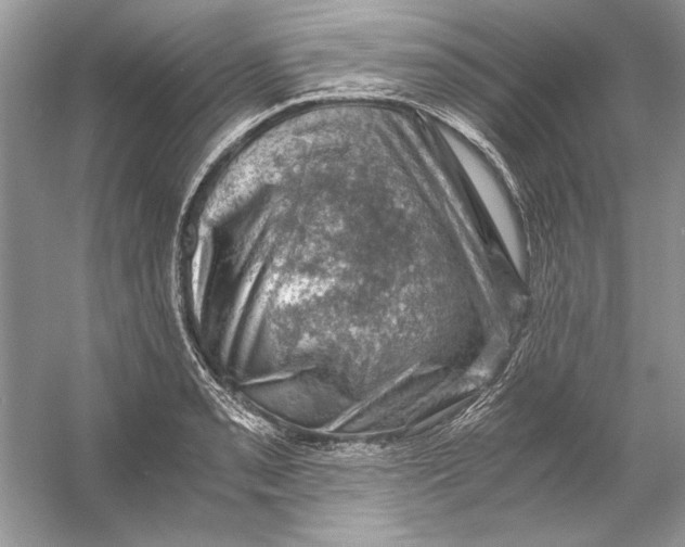 X0000055981085200509162219