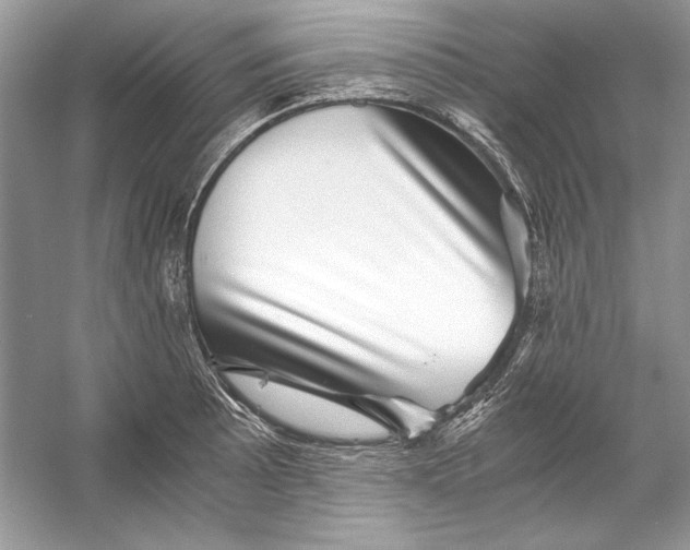 X0000055981089200509162219