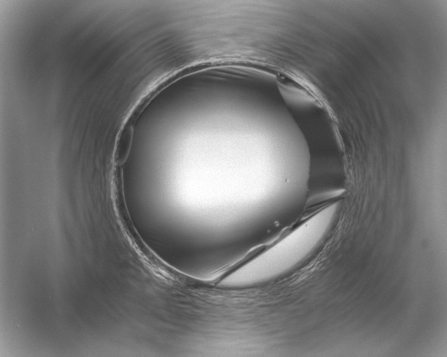 X0000055981093200509162219