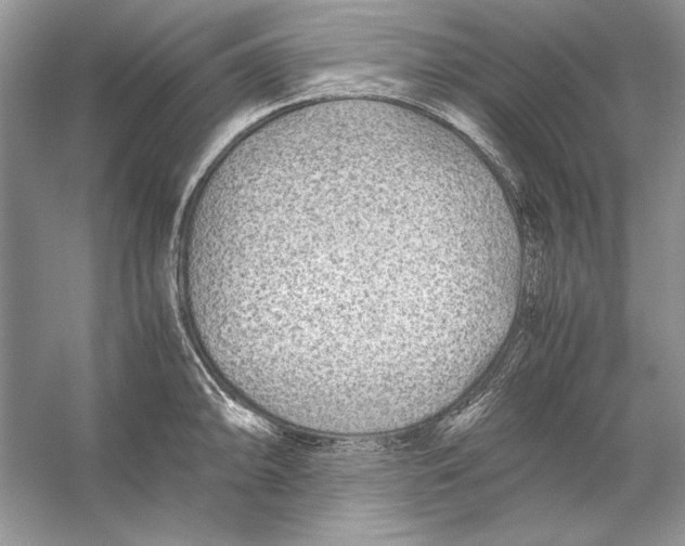 X0000055981094200509162219