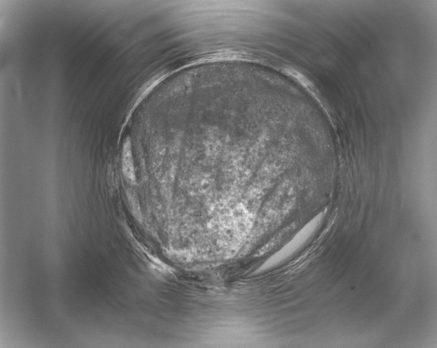 X0000055981097200509162219