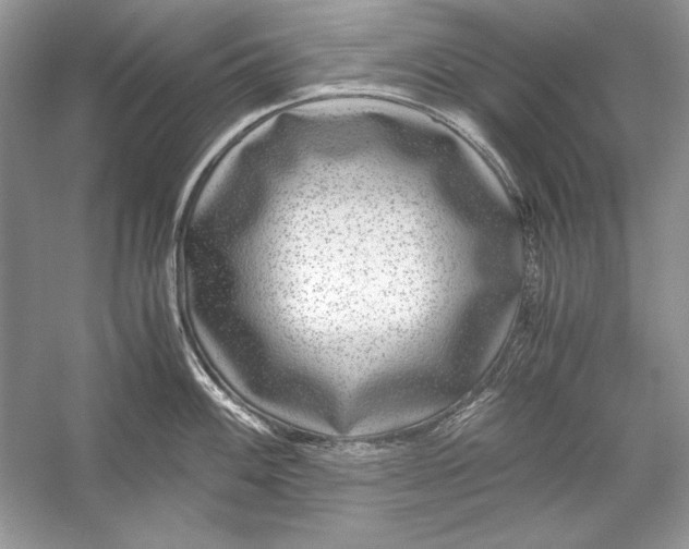 X0000055981100200509162219
