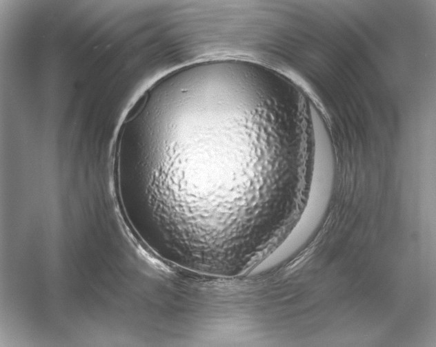 X0000055981102200509162219