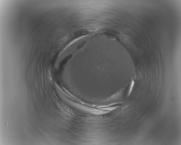X0000055981106200509162218
