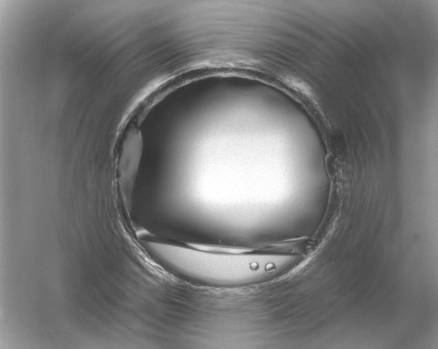 X0000055981114200509162218