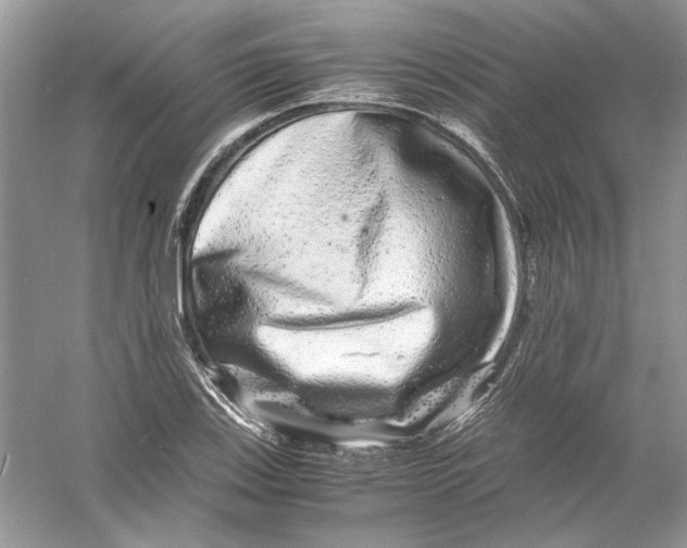 X0000055981123200509162218