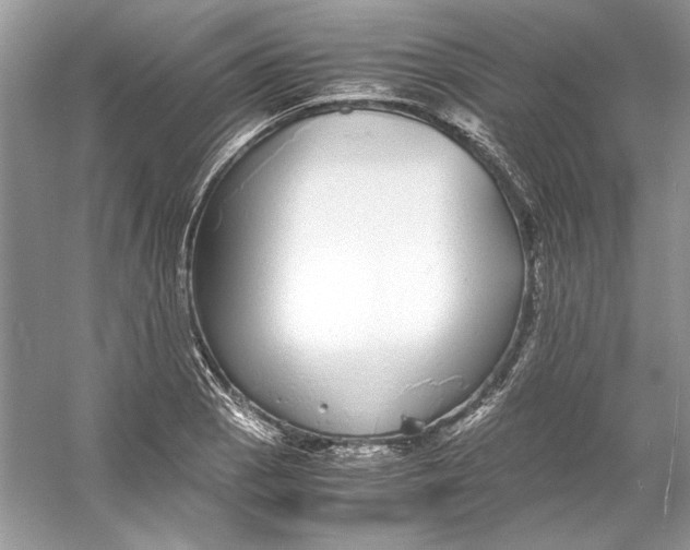 X0000055981129200509162218