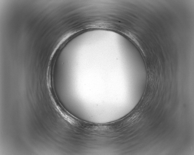 X0000055981131200509162218
