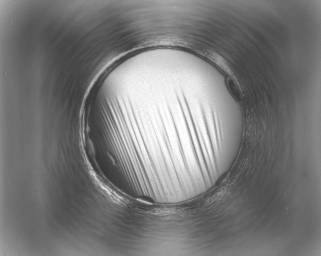 X0000055981132200509162218