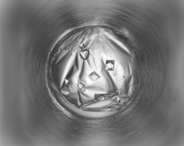 X0000055981134200509162218