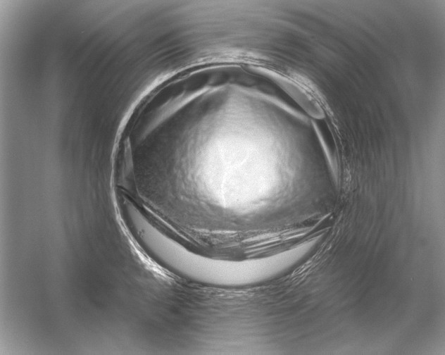 X0000055981136200509162218