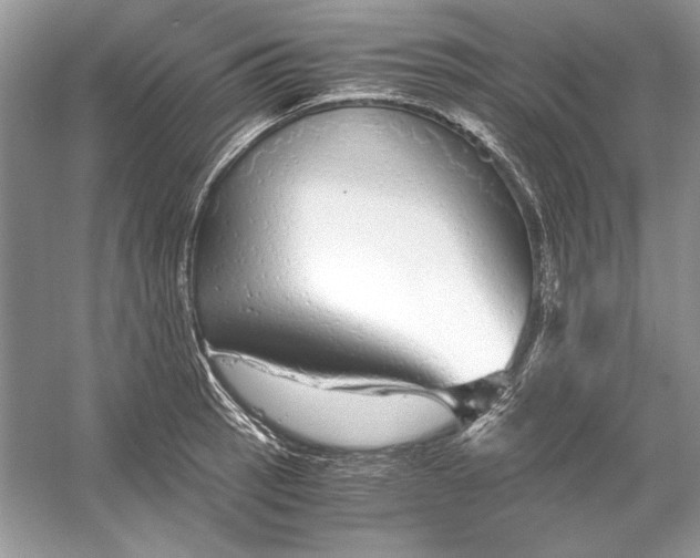 X0000055981137200509162218