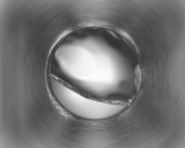 X0000055981138200509162218
