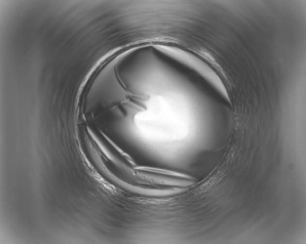 X0000055981140200509162218