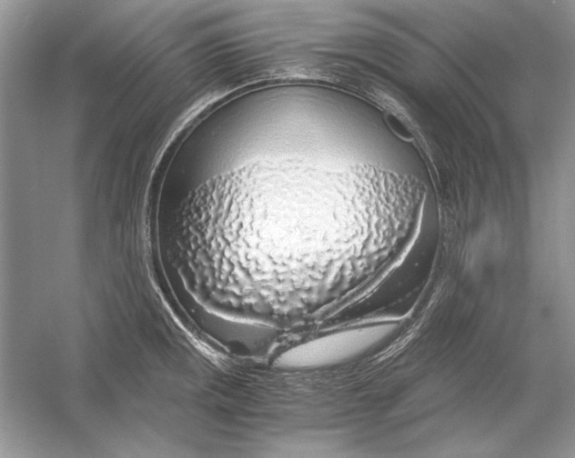 X0000055981141200509162218