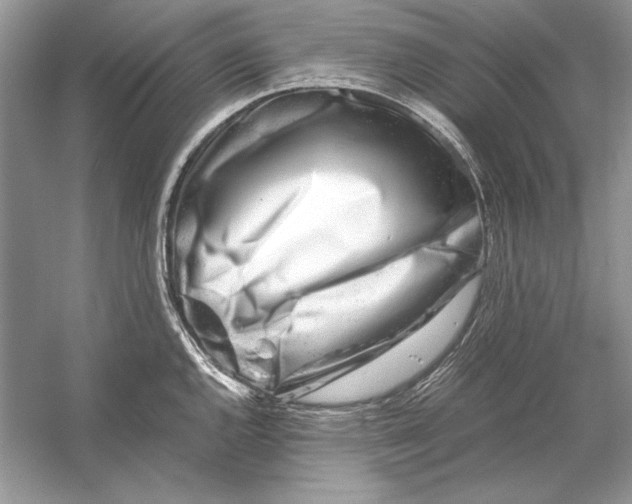 X0000055981144200509162218