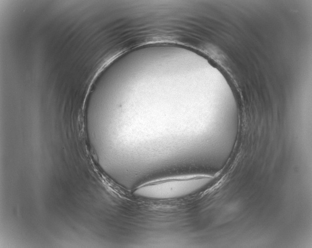 X0000055981145200509162218