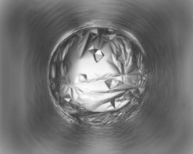 X0000055981146200509162218