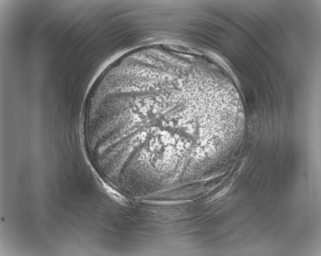 X0000055981149200509162219