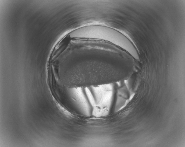 X0000055981151200509162219