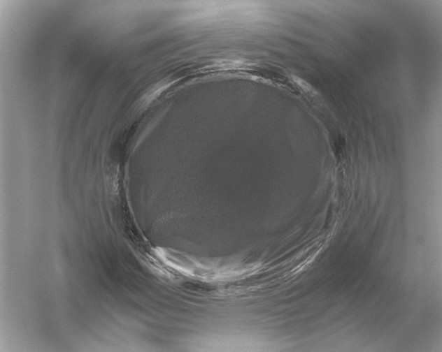X0000055981161200509162218