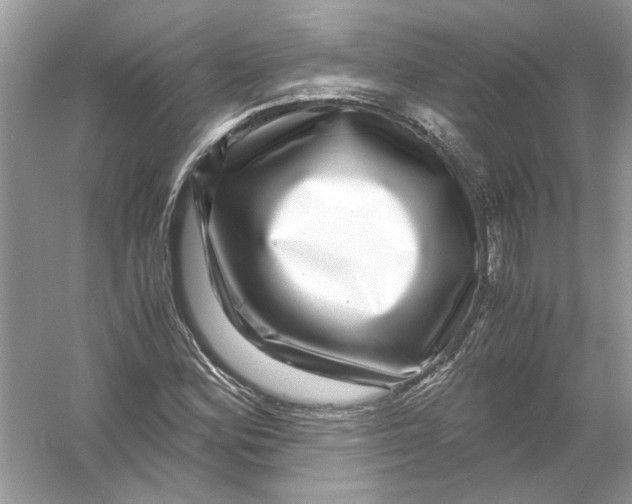 X0000055981164200509162218