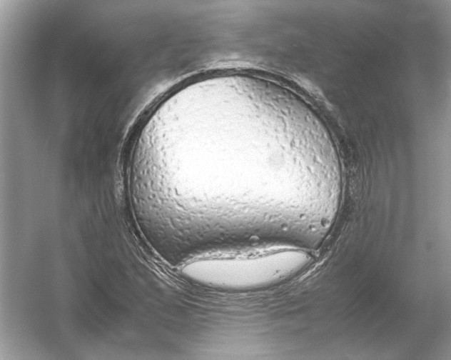 X0000055981167200509162217
