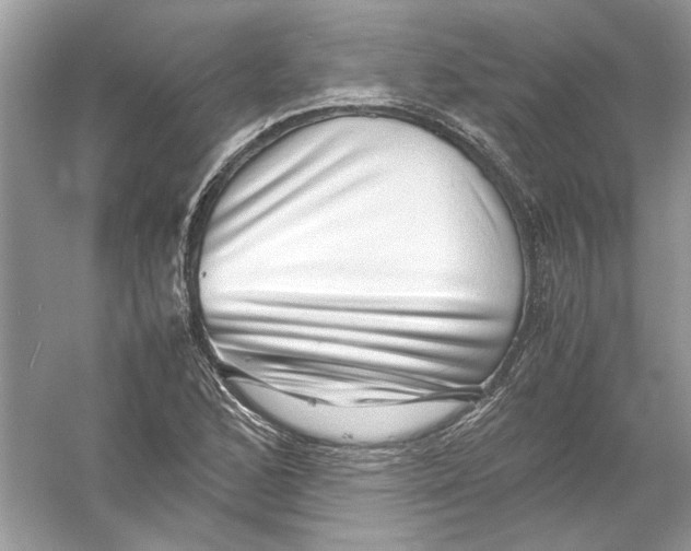 X0000055981168200509162217