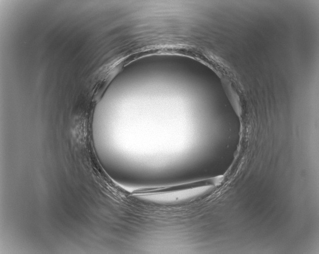 X0000055981169200509162217