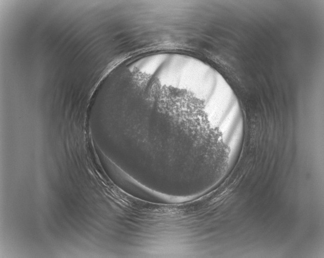 X0000055981170200509162217