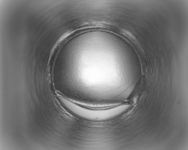 X0000055981172200509162217